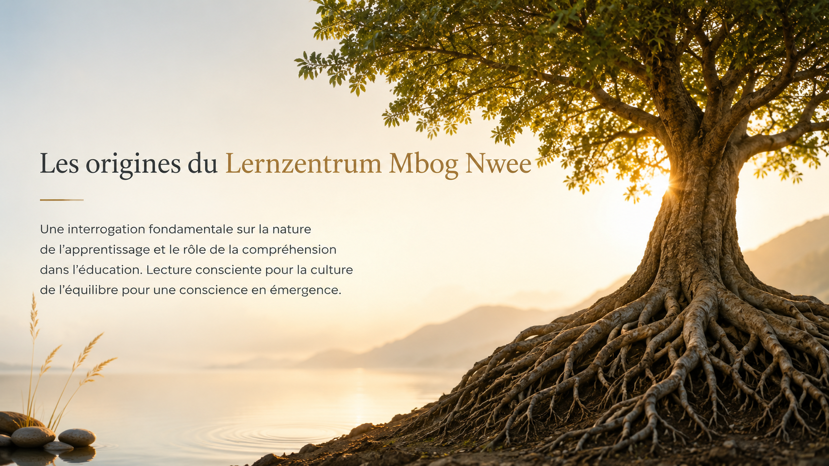 Racines et origines/ raison d'être